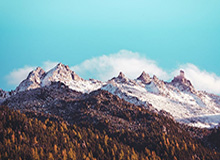 开云体育app下载-2025年中国国际象棋甲级联赛常规赛开幕